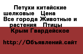 Петухи китайские шелковые › Цена ­ 1 000 - Все города Животные и растения » Птицы   . Крым,Гвардейское